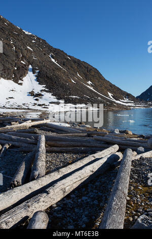 Le bois et les arbres abattus rejetés sur le rivage du Spitzberg, Svalbard dans l'océan Arctique. Banque D'Images