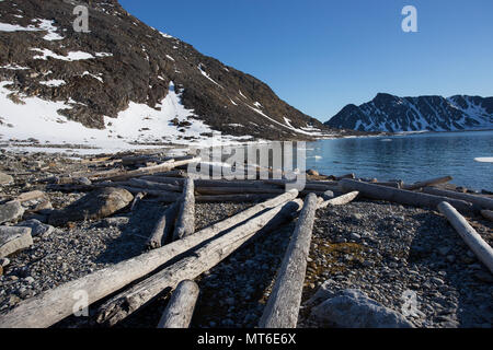 Le bois et les arbres abattus rejetés sur le rivage du Spitzberg, Svalbard dans l'océan Arctique. Banque D'Images