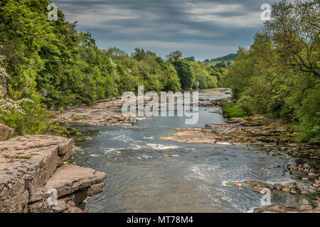 La rivière Ure, à en aval de Lower Falls, Aysgarth, Wensleydale, Yorkshire Dales National Park, Royaume-Uni Banque D'Images