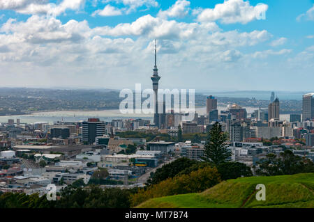 Sur le mont Eden, Auckland, île du Nord, Nouvelle-Zélande Banque D'Images