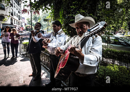 Musiciens mexicains rue performig à Polanco, Mexico City Banque D'Images