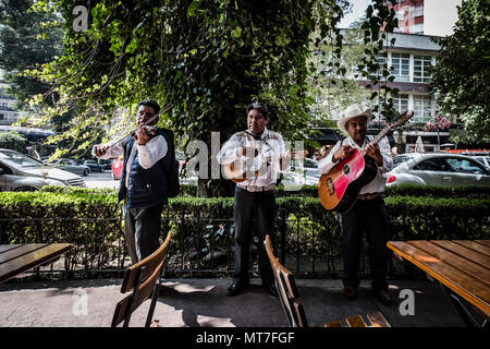 Musiciens mexicains rue performig à Polanco, Mexico City Banque D'Images