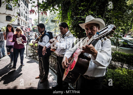 Musiciens mexicains rue performig à Polanco, Mexico City Banque D'Images