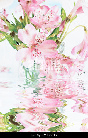 Bouquet de fleurs rose alstroemeria avec reflet dans une surface de l'eau Banque D'Images