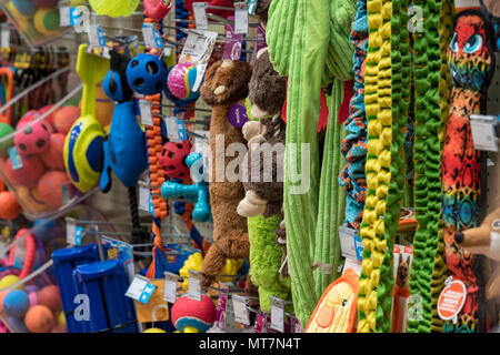 Un grand choix de jouets pour chiens ou coloré en vente à canine un important magasin d'animaux de la rue. Les jouets colorés et balles en vente à pets at home shop. Banque D'Images