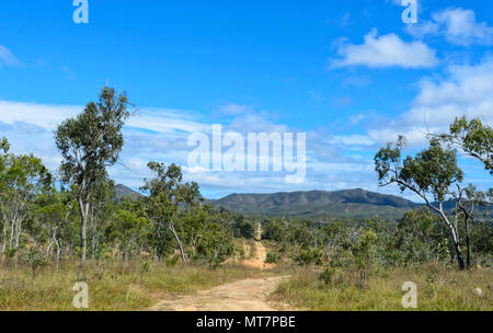 Chemin de terre à travers l'Hodgkinson Goldfields menant au mont Mulligan, Far North Queensland, Queensland, Australie, FNQ Banque D'Images