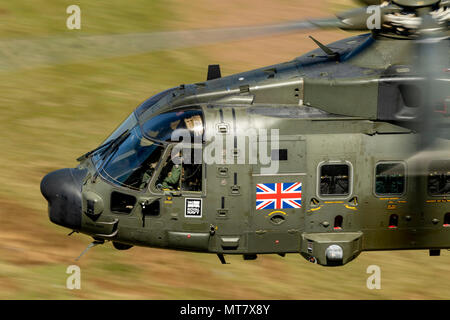 MK3Merlin de la Marine royale un hélicoptère Commando de Yeovilton, volant bas niveau dans la boucle de Mach Banque D'Images