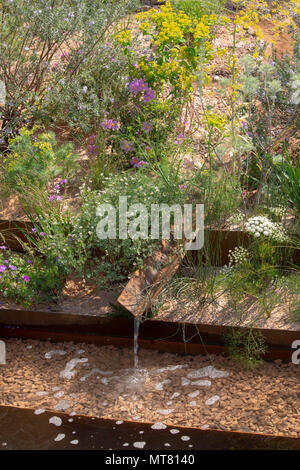 Un petit ruisseau alimentant un étang entouré de plantes y compris Daucus gingidium, Cistus creticus, Ridolfia segetum dans le M&G jardin conçu par Sarah Prix Banque D'Images