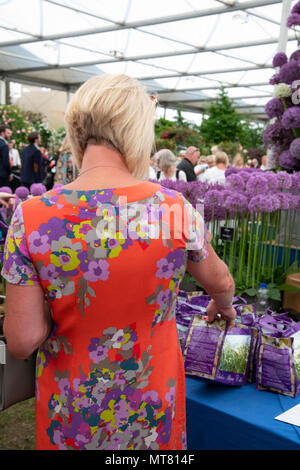 Une femme dans une robe colorée à la recherche à l'Allium dans chapiteau au RHS Chelsea Flower Show 2018, Londres, Royaume-Uni Banque D'Images