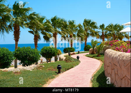 Des palmiers de la promenade côtière donnant sur l'extérieur de l'hôtel de la mer rouge, travel concept en Egypte, Sharm El Sheikh. Banque D'Images