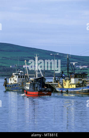 1990 BATEAUX DE PÊCHE HISTORIQUE LE PORT DE DINGLE Comté de Kerry, Irlande Banque D'Images