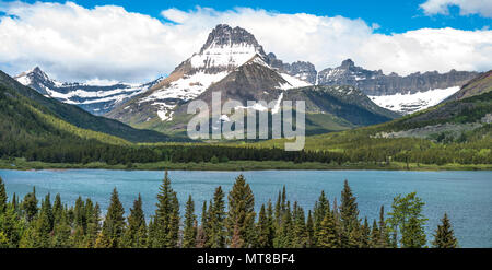 Mont Wilbur - un printemps panoramique vue du Mont Wilbur s'élevant à côté de Swiftcurrent Lake dans beaucoup de région du Glacier Glacier National Park, Montana. Banque D'Images