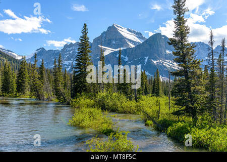 Mount Gould à Cataract Creek - l'eau de fonte de neige de printemps sur Cataract Creek à la base de Mount Gould dans beaucoup de glaciers Le parc national des Glaciers. Banque D'Images