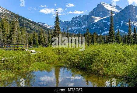 Spring Mountain - Une vue rapprochée du Mont Gould, Angel Wing et mur du jardin du sentier de randonnée pédestre au lac Josephine dans le Glacier National Park, Montana Banque D'Images