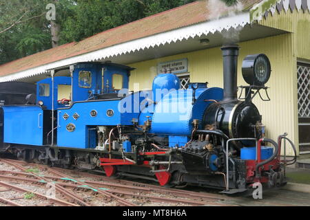 Un moteur à vapeur bleu vif sur le jardin de fer à Adrian Shooter's les hêtres light railway Banque D'Images