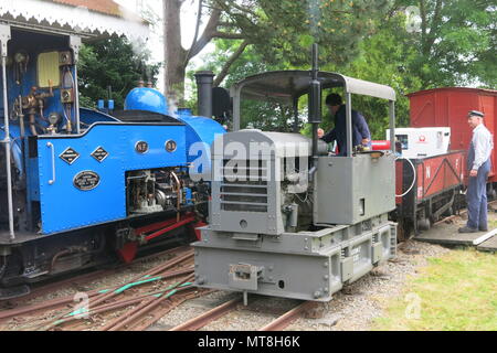 Un moteur à vapeur bleu vif sur le jardin de fer à Adrian Shooter's les hêtres light railway Banque D'Images