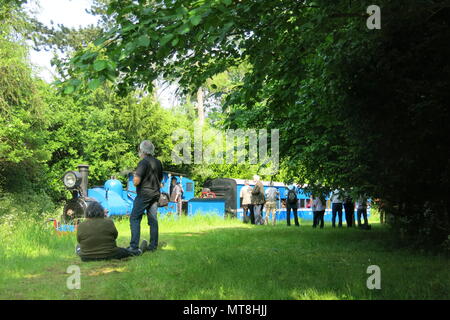 Un moteur à vapeur bleu vif sur le jardin de fer à Adrian Shooter's les hêtres light railway Banque D'Images