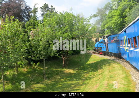 Un moteur à vapeur bleu vif sur le jardin de fer à Adrian Shooter's les hêtres light railway Banque D'Images