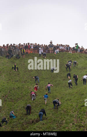 Coopers Hill, Gloucester, Royaume-Uni. 28 mai 2018. Le fromage non officiel annuel et d'événement de réveil. Concours fou de tous les coins du monde se retrouvent au sommet d'une colline dans le Gloucestershire étape pour chasser un 9lb fromage vers le bas de la roue. Comme dans la tradition vieille de 200 ans la première au fond remporte le fromage. Photographie : 79crédit/Alamy Live News Banque D'Images