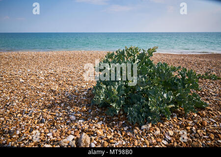 East Preston beach Banque D'Images