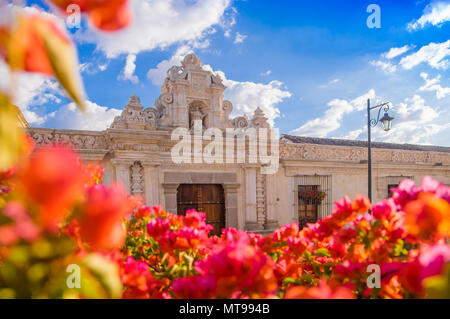 Ciudad de Guatemala, Guatemala, avril, 25, 2018 : focus sélectif des fleurs floues avec vieux bâtiment avec structures sculpté derrière dans la ville d'Antigua dans une magnifique journée ensoleillée Banque D'Images