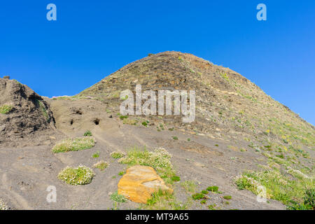 Falaise de poule, corniches de Kimmeridge Bay dolomite intercalés avec des unités plus épais de schiste, Dorset, UK, Englan Banque D'Images