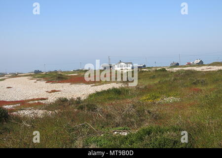 Vue de shingle et frottent sur le rivage à Dungeness, Kent Banque D'Images