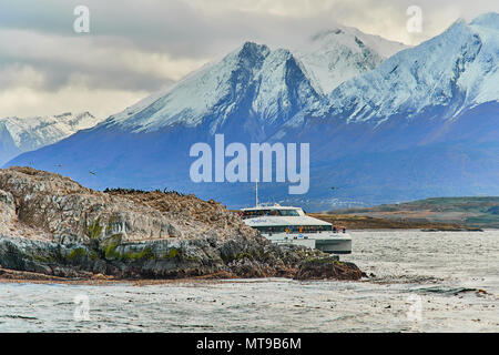 Les lions de mer et d'un oiseau sur une petite île dans le Canal de Beagle. Patagonie Argentine à l'automne Banque D'Images