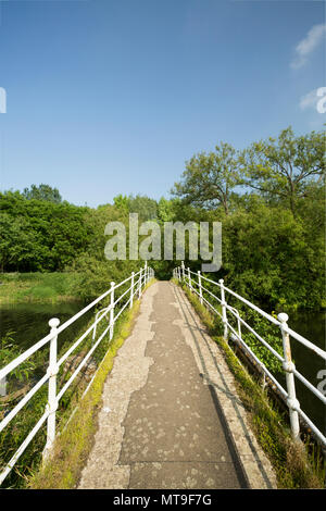 Une vue de Pont Colbert (érigée en 1841 par J. Conway sur le Dorset Stour. Il est en amont de Sturminster Newton Mill. La rivière Stour Dorset, Sturminster Banque D'Images