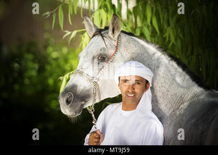 Cheval Arabe. Homme debout à côté d'adultes gris vêtu du costume traditionnel halter. Abu Dhabi Banque D'Images