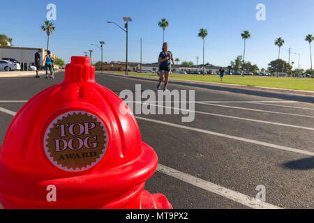 Les membres de la communauté locale et Yuma participer au front, 5K Fun Run sur Marine Corps Air Station Yuma (Arizona), le 19 mai 2018. Le fun run est organisée chaque année regroupant la Station aérienne avec la communauté locale. (U.S. Marine Corps photo par le Sgt. Allison Lotz) Banque D'Images