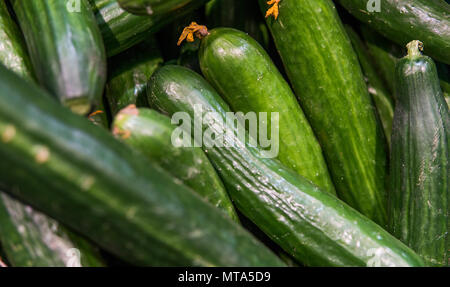 Close up sur un concombre vert sur un marché. Domaine de la ferme de concombre frais. Close up macro-vision des concombres vert. Concept d'aliments végétariens. Concept en bonne santé. Banque D'Images