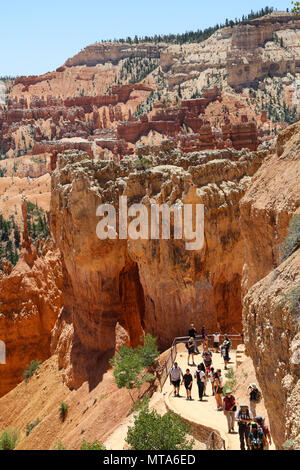 Les randonneurs vu de dessus sur le sentier de randonnée à Bryce Canyon, Bryce Canyon National Park Banque D'Images