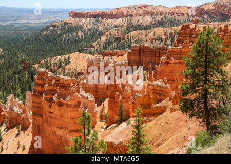 Hoodoos de Bryce Canyon à Bryce Canyon National Park, UT Banque D'Images