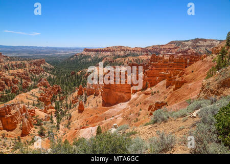 Hoodoos de Bryce Canyon à Bryce Canyon National Park, UT Banque D'Images