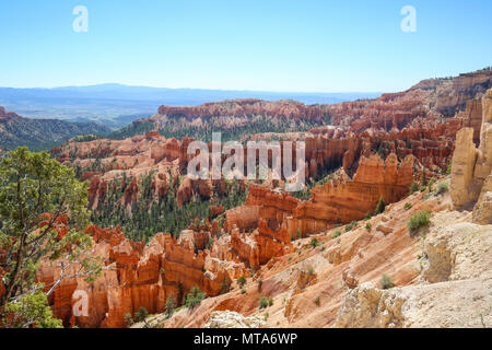 Hoodoos de Bryce Canyon à Bryce Canyon National Park, UT Banque D'Images