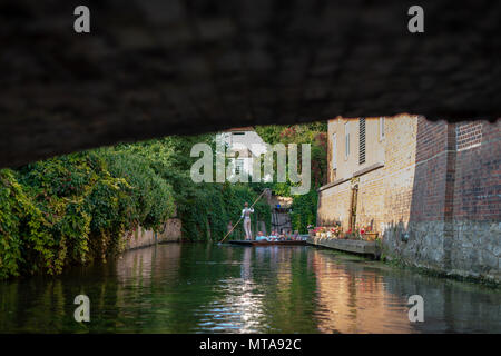 Les touristes sur une rivière en barque sur le grand fleuve Stour à Canterbury, Kent, UK. Banque D'Images