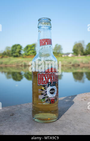 Close up of à moitié vide bouteille de bière Desperados abandonnés au bord d'une rivière sur un matin ensoleillé en été. Banque D'Images