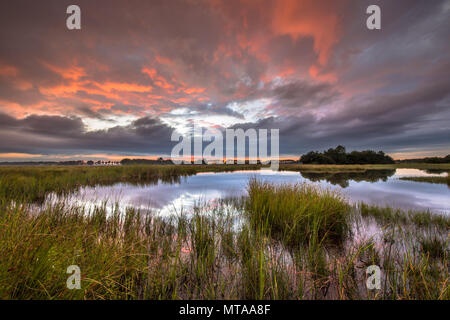 Plus de coucher de soleil spectaculaire en marais naturel de Westerwolde réserve naturelle des Pays-Bas Banque D'Images