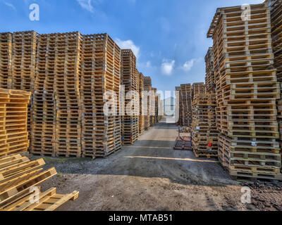 Zone de fret avec d'énormes piles de palettes de fret de type euro prêt pour le recyclage Banque D'Images