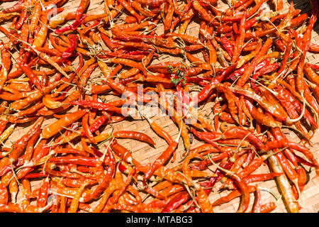 Des piments séchant au soleil, Pakse, Laos Champassak, Banque D'Images