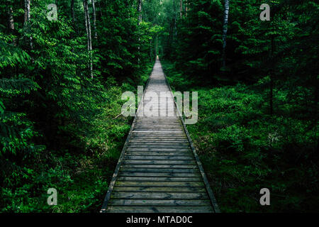 Sol en bois passerelle au-dessus de zones humides dans le parc national de Biebrza en Pologne. Banque D'Images