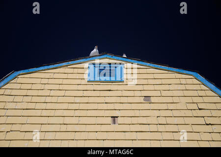 Un bâtiment en bois patiné avec deux goélands sur le sommet du toit contre un ciel bleu à Marina del Rey en Californie du Sud. Banque D'Images