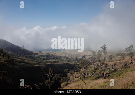 Scène du Parc National du Mont Rinjani Banque D'Images