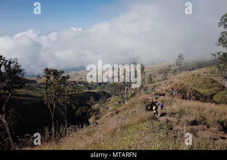 Scène du Parc National du Mont Rinjani Banque D'Images