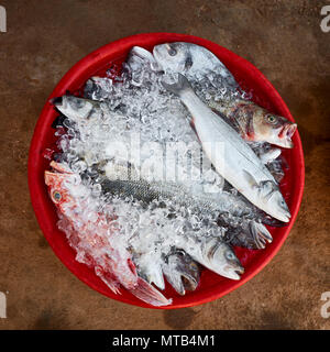 Vue du haut vers le bas de tous les jours du poisson frais de la mer sur la glace dans un bassin rouge dans un marché Banque D'Images