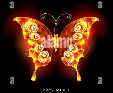 Fiery, papillon lumineux paon sur fond noir. Illustration de Vecteur