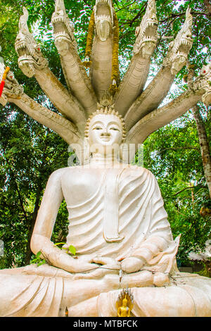 Bouddha blanc en Wat Nam Tok Hin Lat Temple, Koh Samui, Thaïlande Banque D'Images