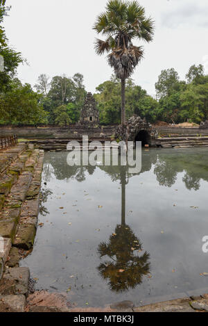 Vue sur l'île temple Preah Neak Poan à Angkor au Cambodge Banque D'Images