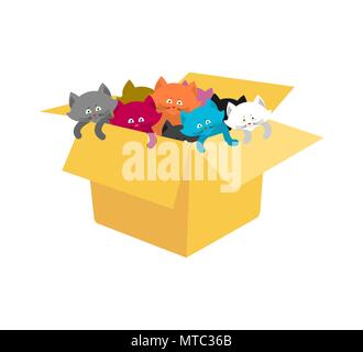 Fort avec les chatons. Les chats en boîte carton. Vector illustration Illustration de Vecteur